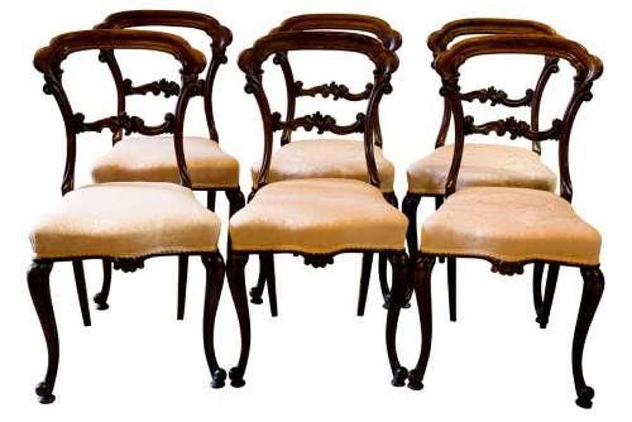 Set of William IV Rosewood Cabriole Leg Dining Chairs