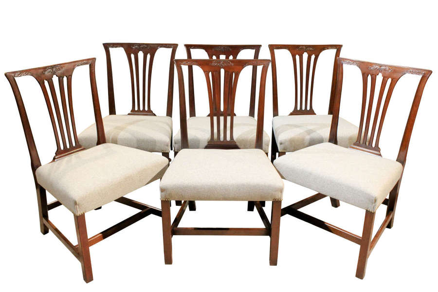 Set of six  Georgian dining chairs