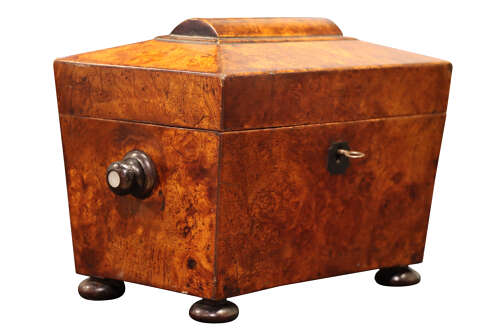 Regency Sarcophagus Tea Caddy