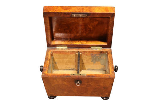 Regency Sarcophagus Tea Caddy