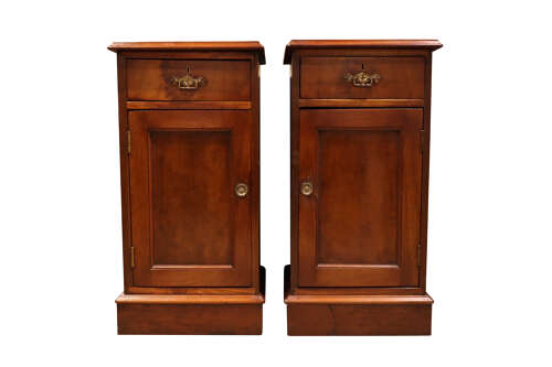 Pair of Early 20th Century Mahogany Bedside Cupboards with Drawer